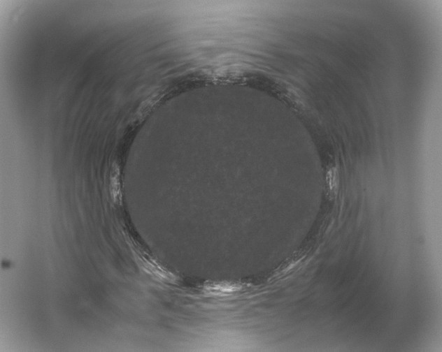 X0000066110963200603241540