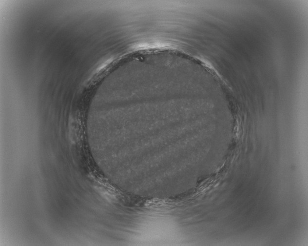 X0000066110967200603241540