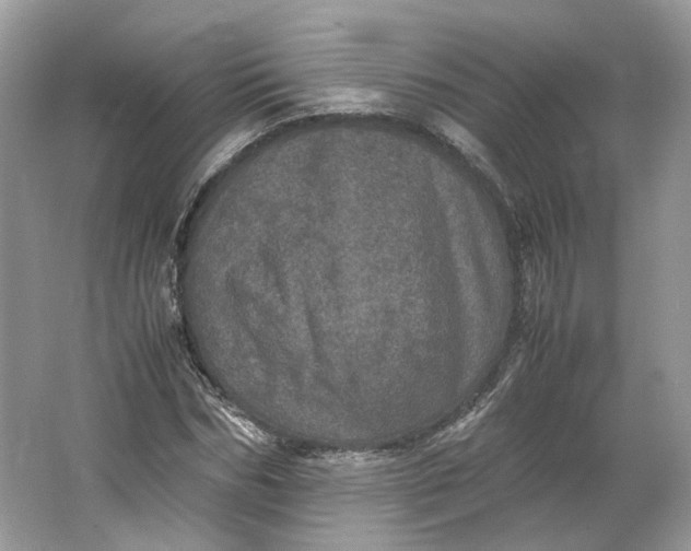 X0000066110970200603241540
