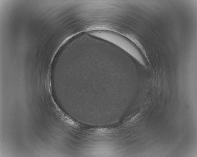 X0000066110984200603241539