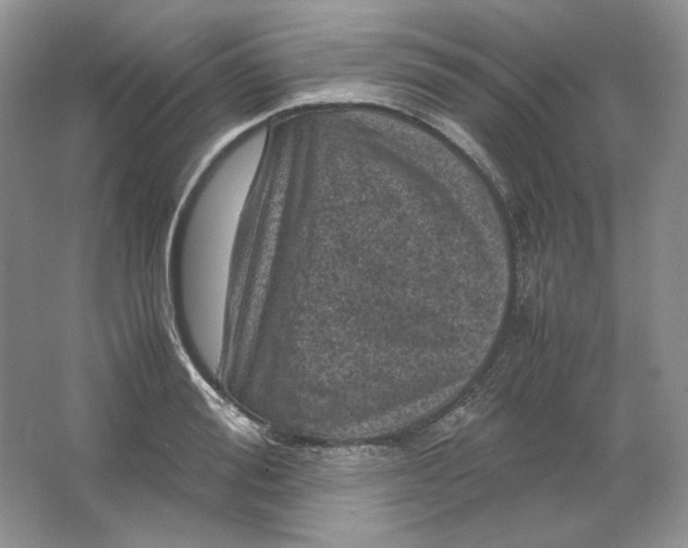 X0000066110988200603241539