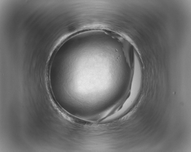 X0000066110989200603241539