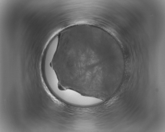 X0000066110991200603241539