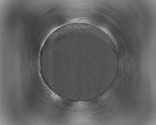 X0000066110992200603241539