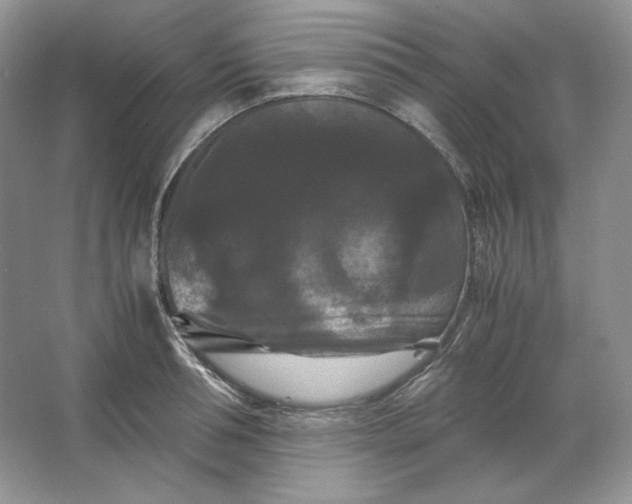 X0000066110994200603241539
