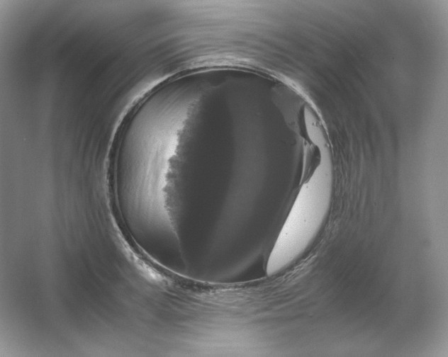 X0000066110995200603241539