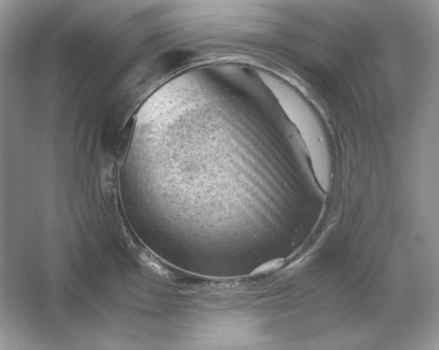 X0000066111001200603241539