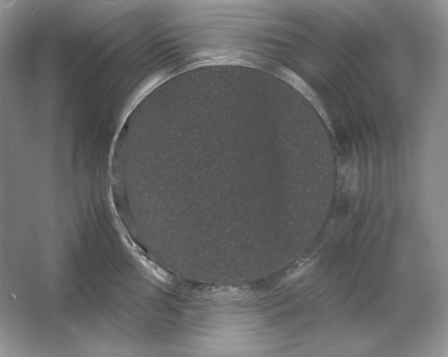X0000066111002200603241539