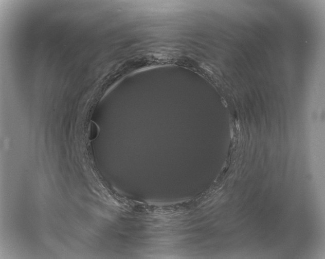 X0000066111009200603241538