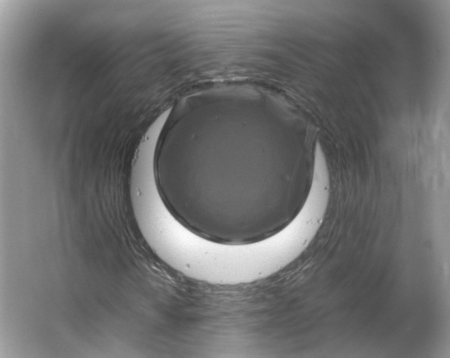 X0000066111010200603241538