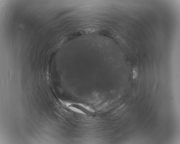 X0000066111011200603241538