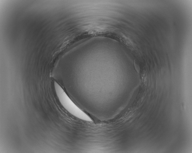 X0000066111012200603241538