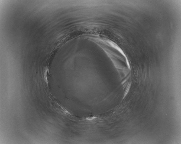X0000066111013200603241538