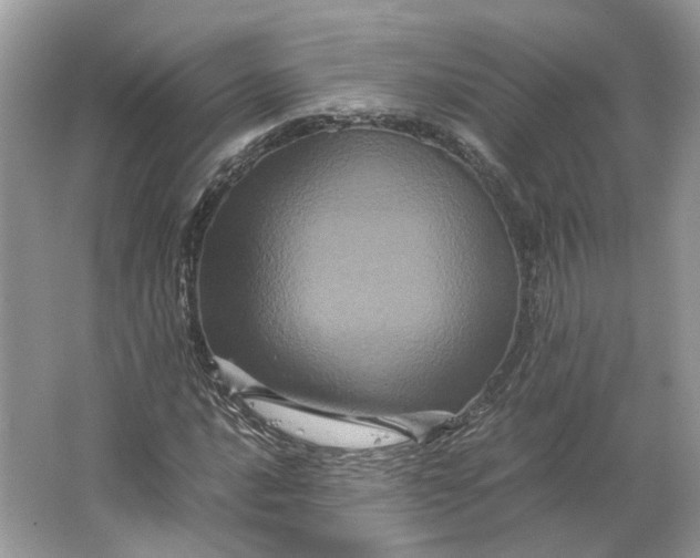 X0000066111016200603241538