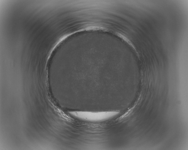 X0000066111021200603241538