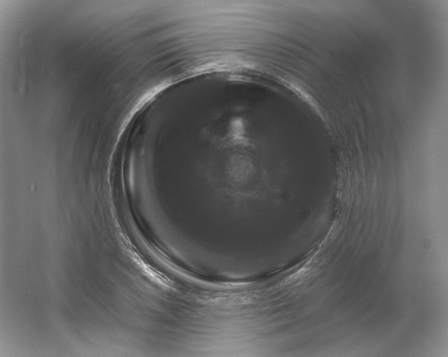 X0000066111026200603241539