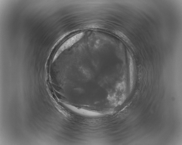 X0000066111031200603241539