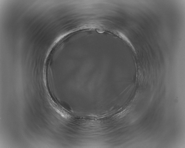 X0000066111035200603241539