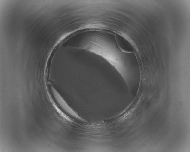 X0000066111037200603241539