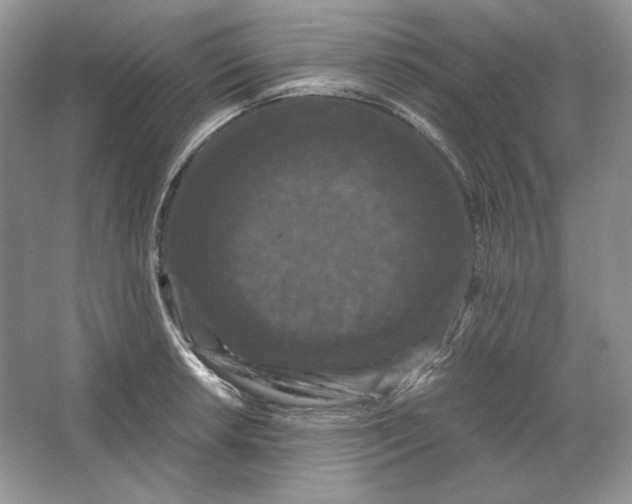 X0000066111042200603241539