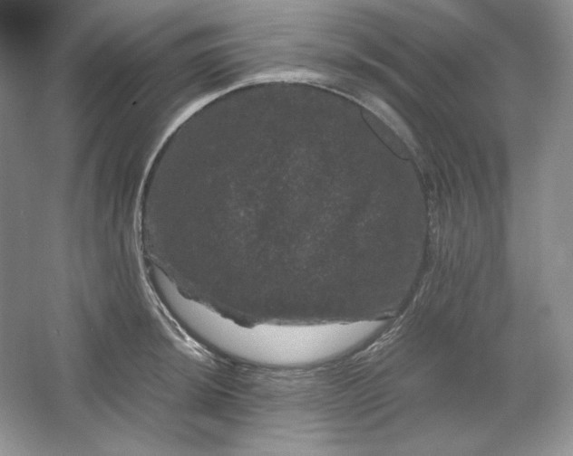 X0000066111044200603241539