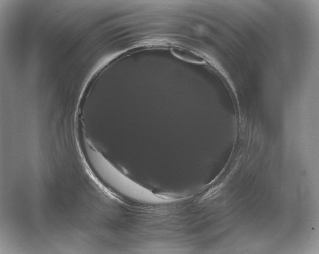 X0000066111045200603241539