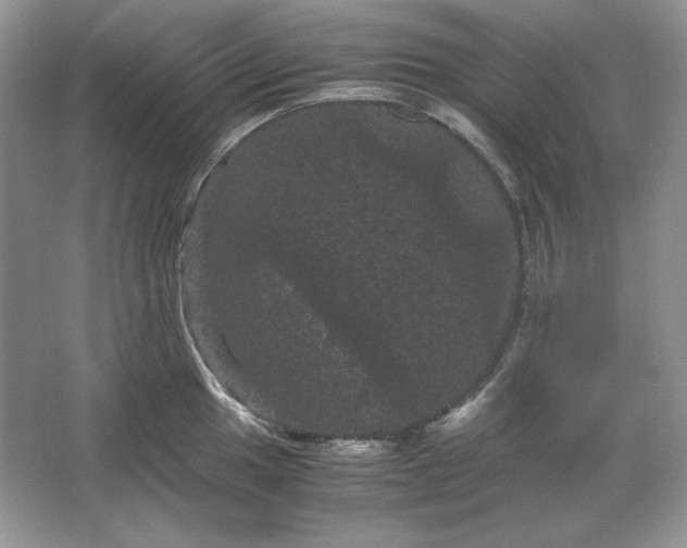 X0000066111049200603241539
