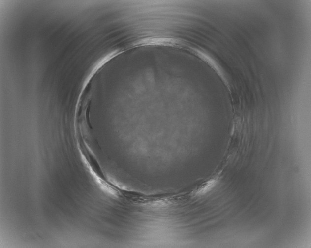 X0000066111050200603241539
