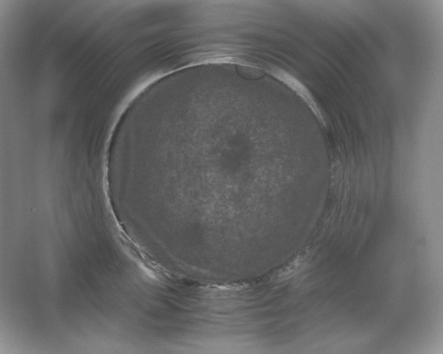 X0000066111051200603241539