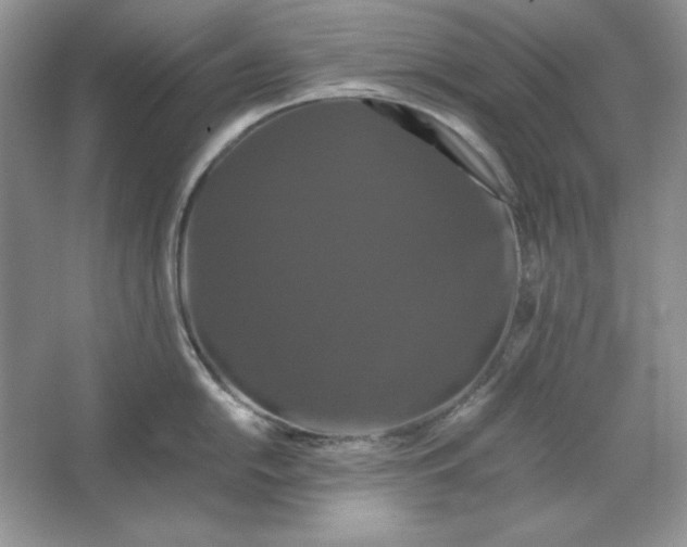 X0000066111054200603241539