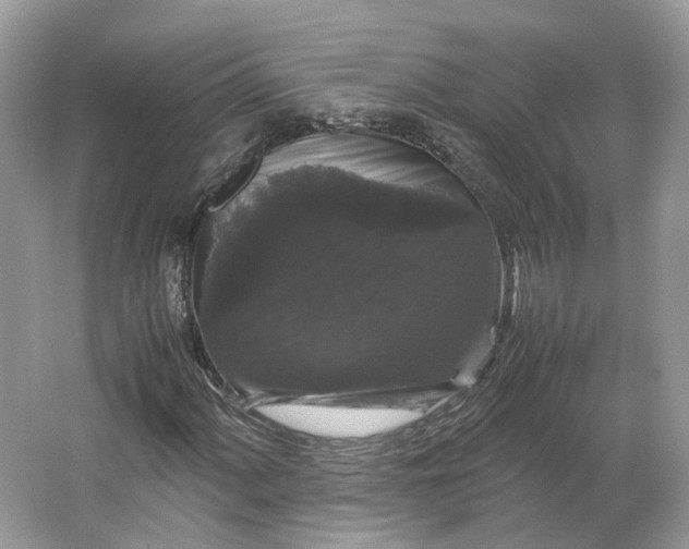 X0000066111060200603241538