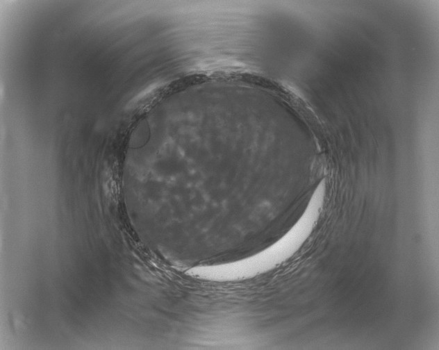 X0000066111063200603241538