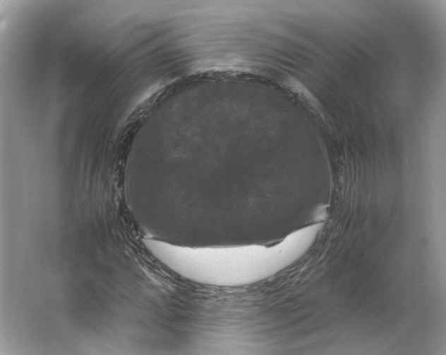 X0000066111064200603241538