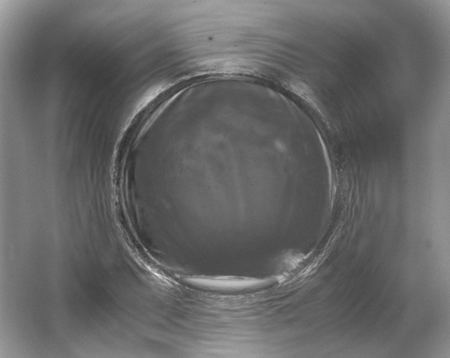 X0000066111071200603241538