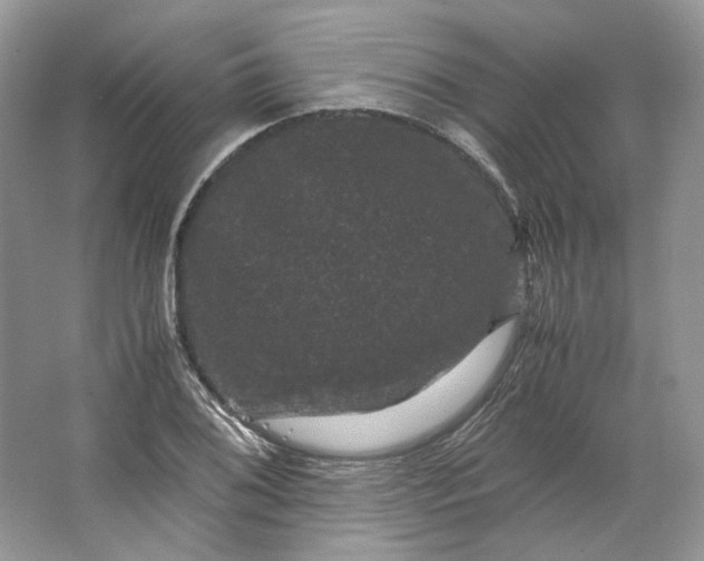 X0000066111076200603241538