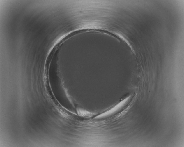 X0000066111077200603241538