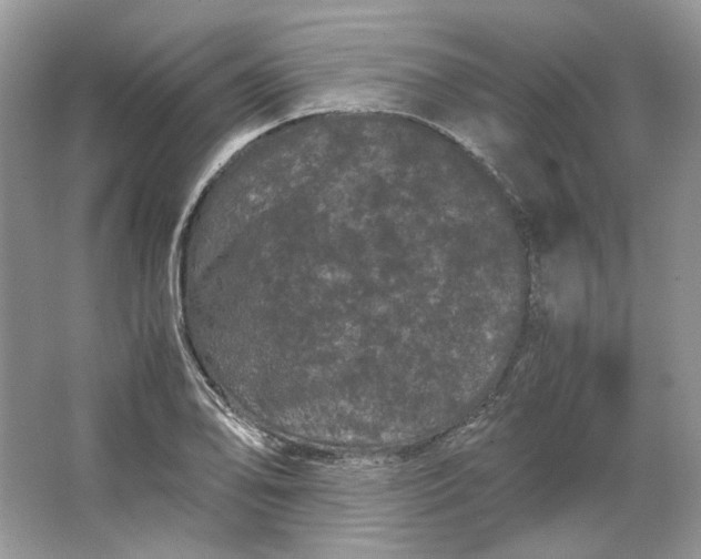 X0000066111078200603241538