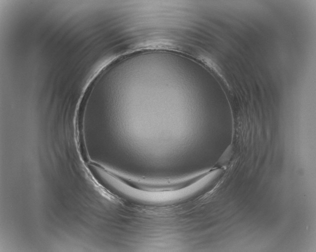 X0000066111082200603241538