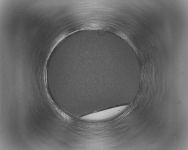X0000066111083200603241538