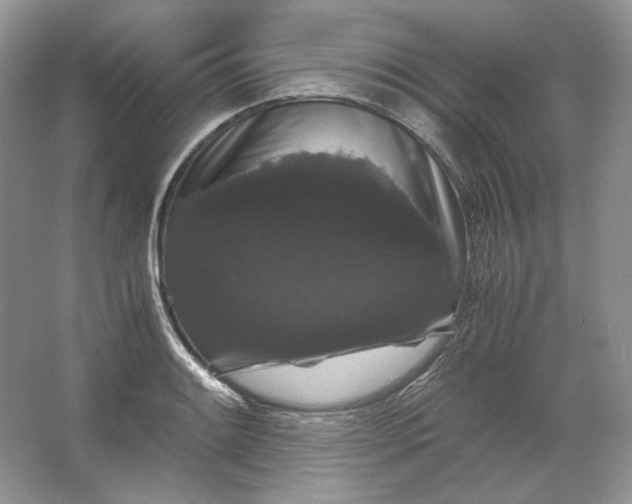 X0000066111084200603241538