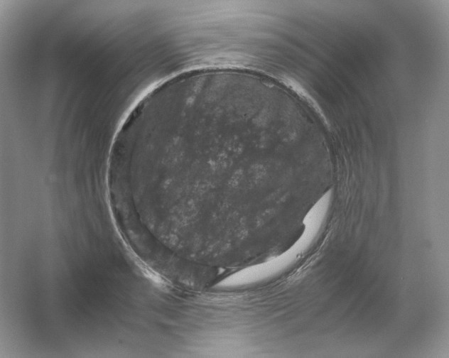 X0000066111085200603241538