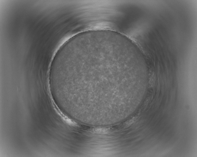 X0000066111086200603241538
