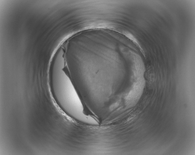 X0000066111088200603241538