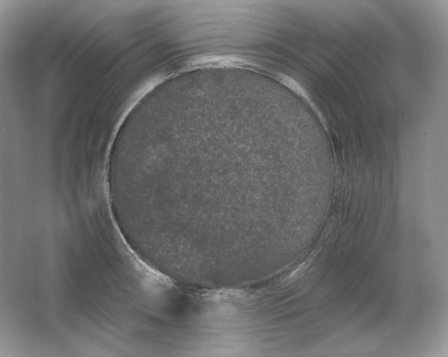 X0000066111090200603241538