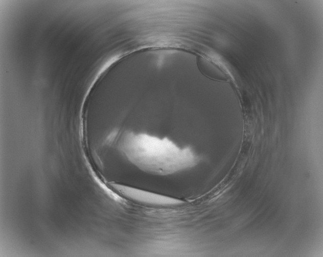 X0000066111095200603241538