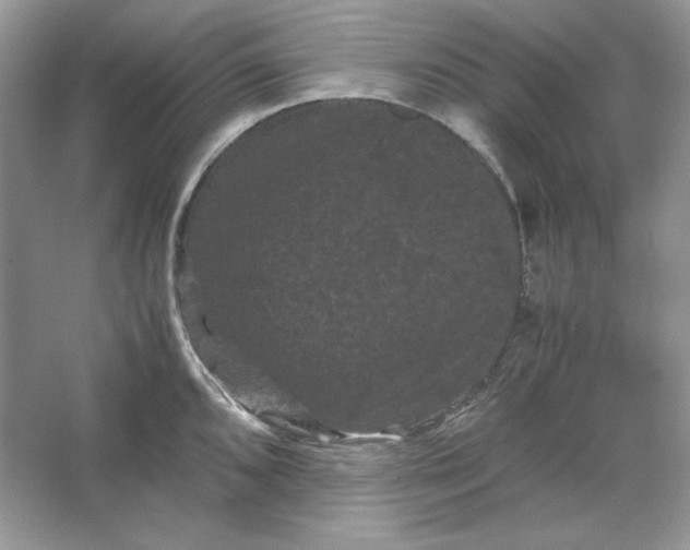 X0000066111096200603241538