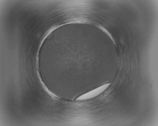 X0000066111099200603241537