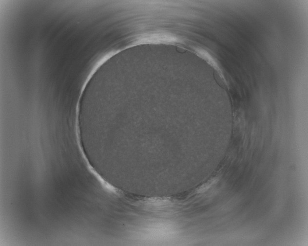 X0000066111103200603241537
