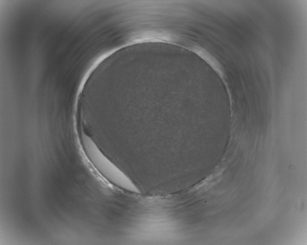 X0000066111104200603241537