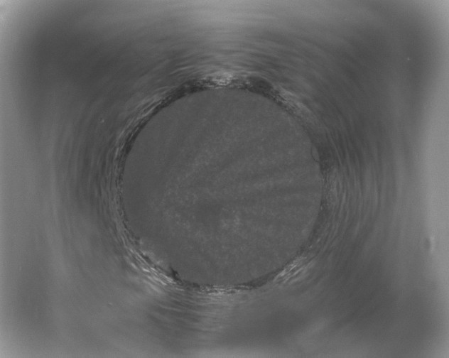 X0000066111105200603241537